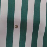 achat Toile de store bâche rayé blanc vert 4 saisons en téflon en 1.60m