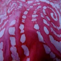 Batik motif en camaieu de rose motifs fossile1