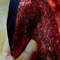 Belle qualite de tissu lame rouge6
