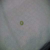 Coton melange blanc a motifs brodes