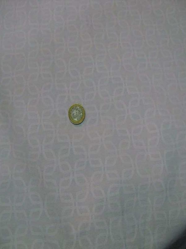 Coton melange blanc a motifs brodes