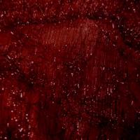 Coupon d organza rouge lame 1 60m3