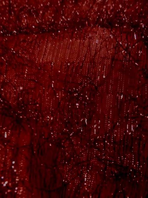 Coupon d organza rouge lame 1 60m