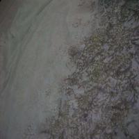 tissu Crépon imprime blanc cassé 1 40 m de large9