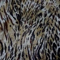Dentelle lycra imprime leopard1