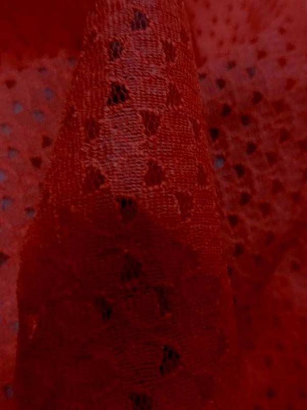 Dentelle resille faconne rouge