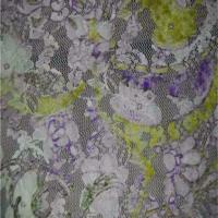 Dentelle resille lycra ton anis blanc violet0