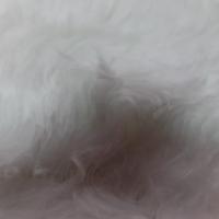 tissu Fausse fourrure blanche montée sur gabardine en coton pas cher