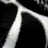 Fausse fourrure girafe noir blanc4