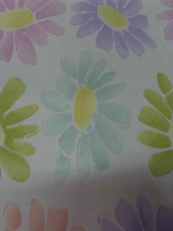 Gabardine lycra en coton blanche imprime fleurs