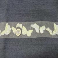 Galon d organza transparent avec des papillons brodes en 5 5cm1