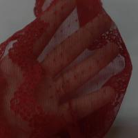 Galon de resille brode rouge bordeaux