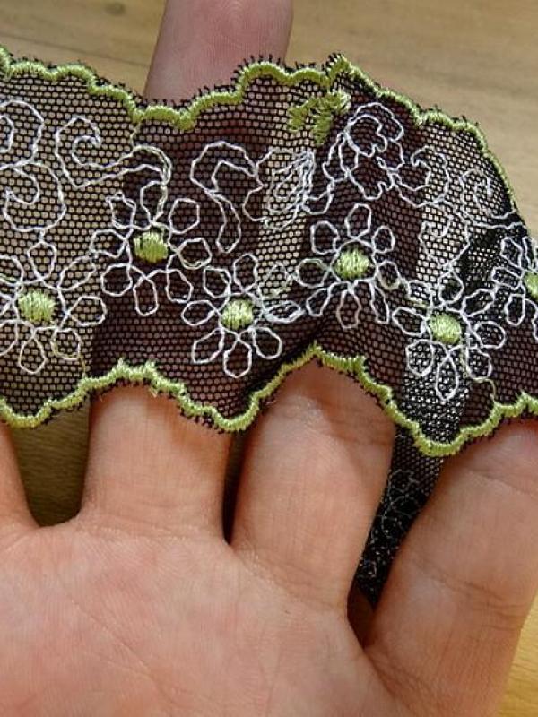 Galon de résille dentelle noire brodée motifs marguerites ton anis et blanc