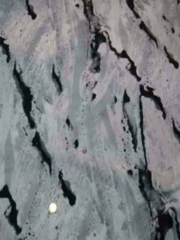 Imprime camaieu de gris noir