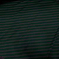 Jersey coton raye vert et gris7