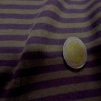 Jersey coton raye violet gris