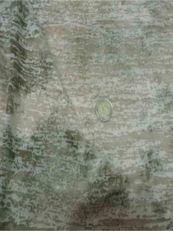 Jersey devore ton beige