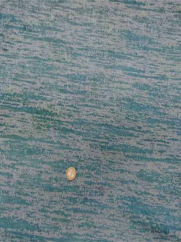 Jersey devore ton bleu