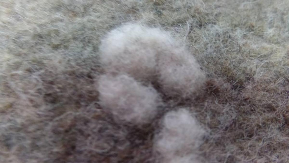 Lainage laine bouillie beige a motifs façonné blanc cassé