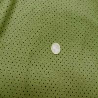 Lycra a pois tilleul0