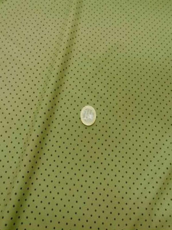 Lycra a pois tilleul