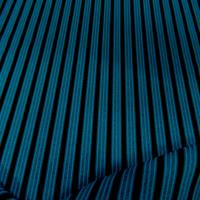 Lycra a rayures bleu et noir0
