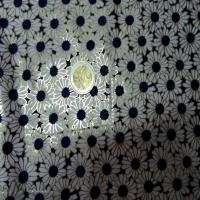Lycra blanc bleu marine et lurex dore9