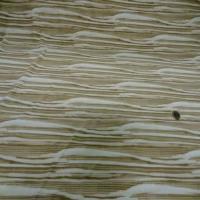 Lycra blanc imprime ton beige4