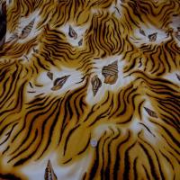 Lycra maillot de bain imprime coquillage6