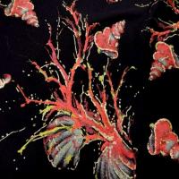 Lycra noir imprime coquillage corail lurex dore8