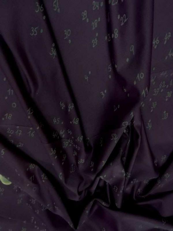 Lycra prune imprime numero