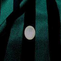 Lycra vert chine a rayures noire6
