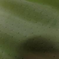 tissu Maile jersey coton fin vert anis façonné en 1.80m de large