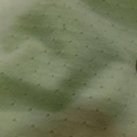 tissu Maile jersey coton fin vert anis façonné en 1.80m de l en ligne