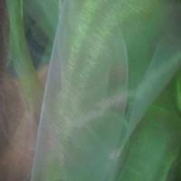 Organza changeant vert bambou reflets blanc en 1 5m de large6