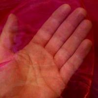 Organza rouse reflets framboise