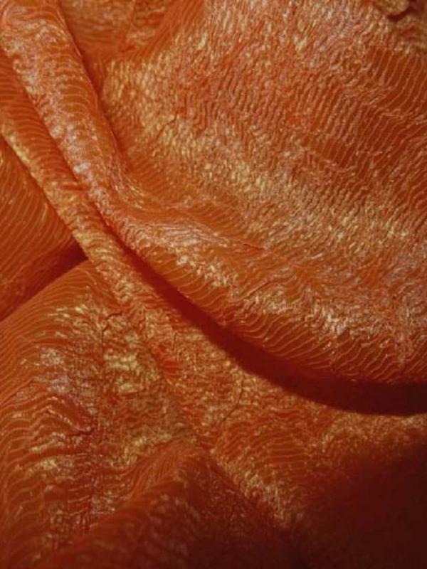 Organza ton orange froisse