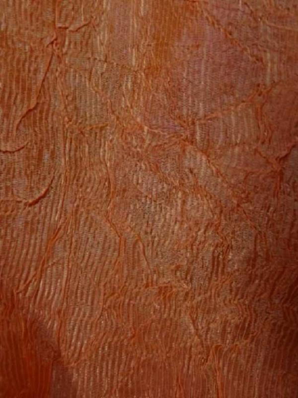 Organza ton orange froisse
