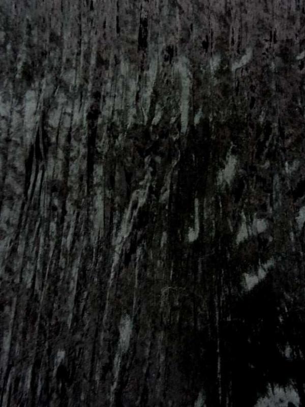 Panne de velours plisse noire