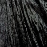 Panne de velours plisse noire8
