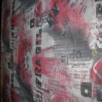 Resille grise imprime gris fonce rouge fragile0