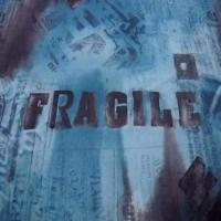 Resille imprime ton bleu fragile