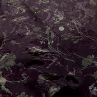 achat tissu satin viscose double face aubergine froissé permanent imprimé fleurs doré