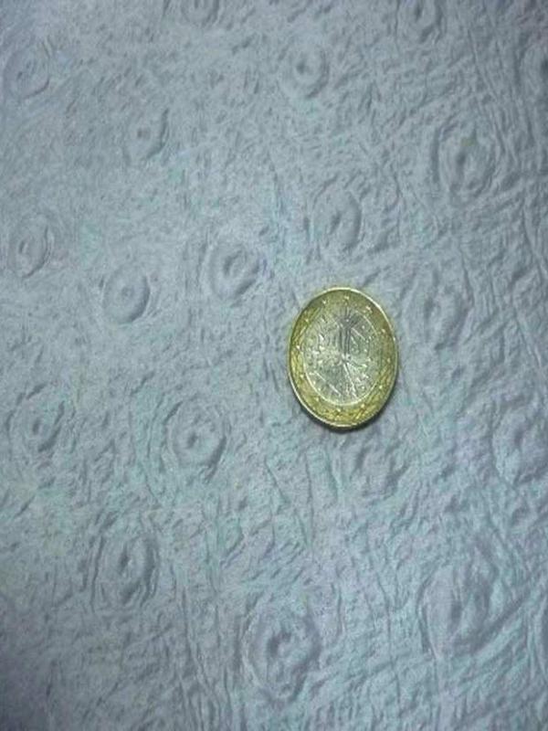 Satine bleu faconne motifs autruche