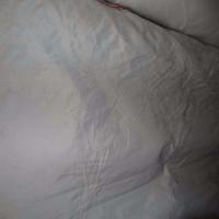 Taffetas blanc mat brode a motifs bandes rouge bordeaux0