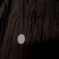 Taffetas souple froisse plisse marron changeant3