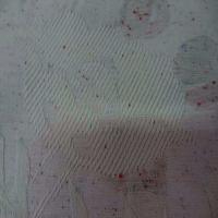 Toile legere beige faconne tweed et brode10