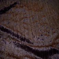 Tres beau velours souple marron a sequins