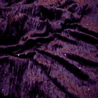 Tres beau velours souple prune a sequins8
