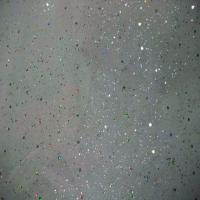 Tulle blanc a paillettes multicolore9